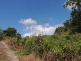Unity, St. Ann, Jamaica - Commercial/farm land for Sale